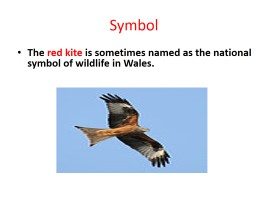Wales - Уэльс, слайд 2