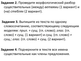 Зачёт 6 класс «Имя существительное», слайд 3