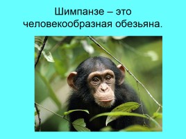 Русский язык 1 класс «Неизменяемые слова», слайд 7