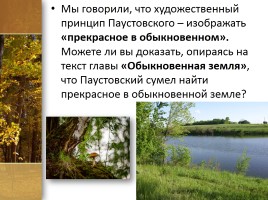 Бескорыстная любовь к обыкновенной земле К.Г. Паустовский «Мещорская сторона» (2 урок), слайд 7