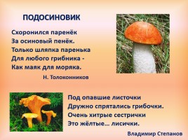 Литературное чтение 2 класс «Стихи про грибы», слайд 4