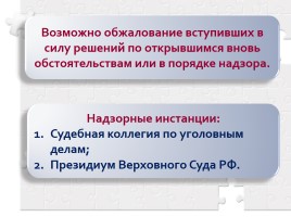 Процессуальное право: уголовный процесс, слайд 26