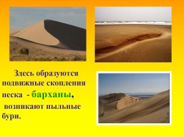Животный и растительный мир пустыни, слайд 15