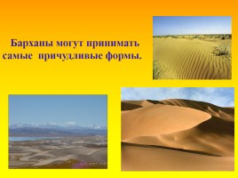 Животный и растительный мир пустыни, слайд 16