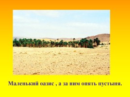 Животный и растительный мир пустыни, слайд 41