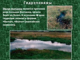 Исследовательская работа по географии «Особенности топонимики Северного Урала», слайд 8