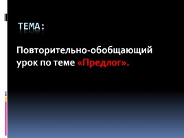 Повторительно-обобщающий урок по теме «Предлог»