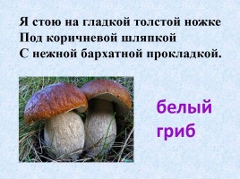 Ядовитые и съедобные грибы, слайд 17