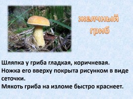 Ядовитые и съедобные грибы, слайд 9
