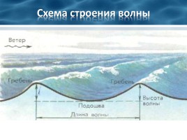 Географические закономерности в Мировом Океане, слайд 15