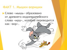 Интересные факты о мышках, слайд 2