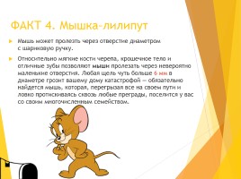 Интересные факты о мышках, слайд 5