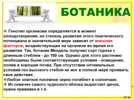 Исследовательская работа на уроках русского языка как способ формирования метапредметных компетенций, слайд 43