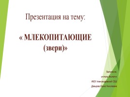 Млекопитающие (звери)