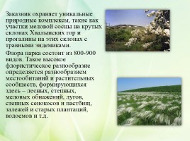 Проект «Заповедные зоны Саратовской области», слайд 10