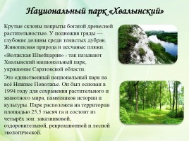 Проект «Заповедные зоны Саратовской области», слайд 9