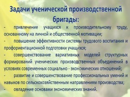 Ученическая производственная бригада имени Анатолия Мерзлова, слайд 4