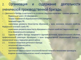 Ученическая производственная бригада имени Анатолия Мерзлова, слайд 5