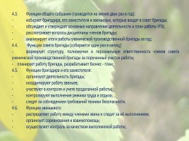 Ученическая производственная бригада имени Анатолия Мерзлова, слайд 9