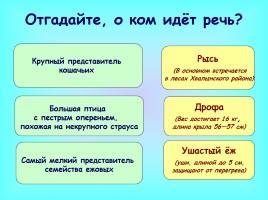 Викторина «Саратовская область», слайд 4