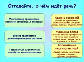 Викторина «Саратовская область», слайд 6