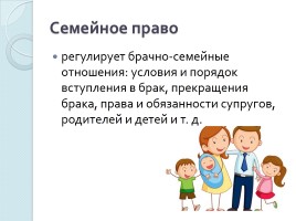Система российского права, слайд 12
