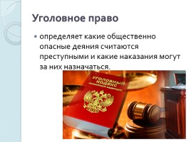 Система российского права, слайд 14