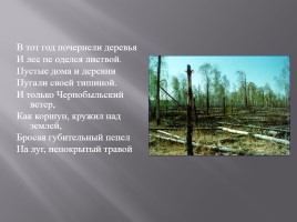 Чернобыль - это память на много веков, слайд 27
