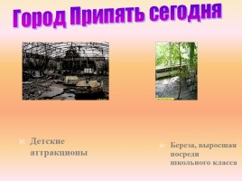 Чернобыль - это память на много веков, слайд 39