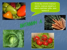 Окружающий мир «Почему нужно есть много овощей и фруктов», слайд 11