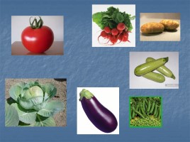 Окружающий мир «Почему нужно есть много овощей и фруктов», слайд 5