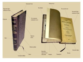 Библиотечный урок «Структура книги», слайд 15