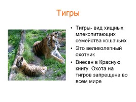 Звери-млекопитающие, слайд 2