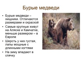 Звери-млекопитающие, слайд 8