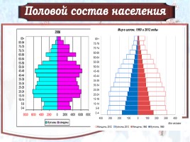 Демографическая ситуация в современной России, слайд 10