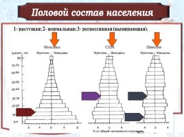 Демографическая ситуация в современной России, слайд 12