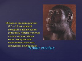 Происхождение людей на территории Московской области Льяловская и фатьяновские археологические культуры, слайд 13