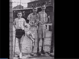 11 апреля - международный день освобождения узников фашистских концлагерей «Не отнимайте солнце у детей!», слайд 13