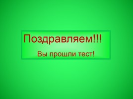 Классный час «Мой родной Новосибирск», слайд 105