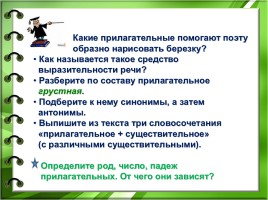 Русский язык 4 класс «Имя прилагательное как часть речи», слайд 9