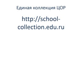 Цифровые образовательные ресурсы как средство развития универсальных учебных действий на уроках русского языка и литературы, слайд 12