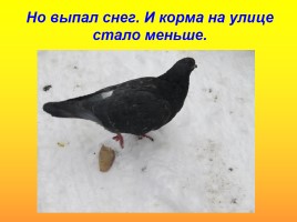 Надпредметные проекты как средство мотивации познавательной активности учащихся «Покормите птиц зимой!», слайд 22