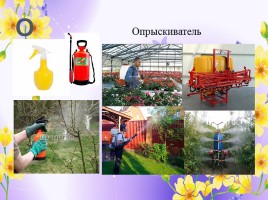 Профессии: садовник, озеленитель, цветовод (инструменты и посадочный материал), слайд 16