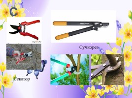 Профессии: садовник, озеленитель, цветовод (инструменты и посадочный материал), слайд 17