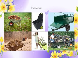 Профессии: садовник, озеленитель, цветовод (инструменты и посадочный материал), слайд 18