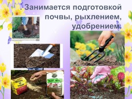 Профессии: садовник, озеленитель, цветовод (инструменты и посадочный материал), слайд 5