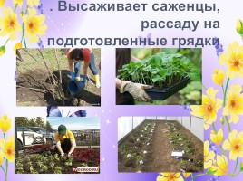 Профессии: садовник, озеленитель, цветовод (инструменты и посадочный материал), слайд 6