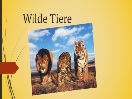 Wilde Tiere (иллюстрации), слайд 1