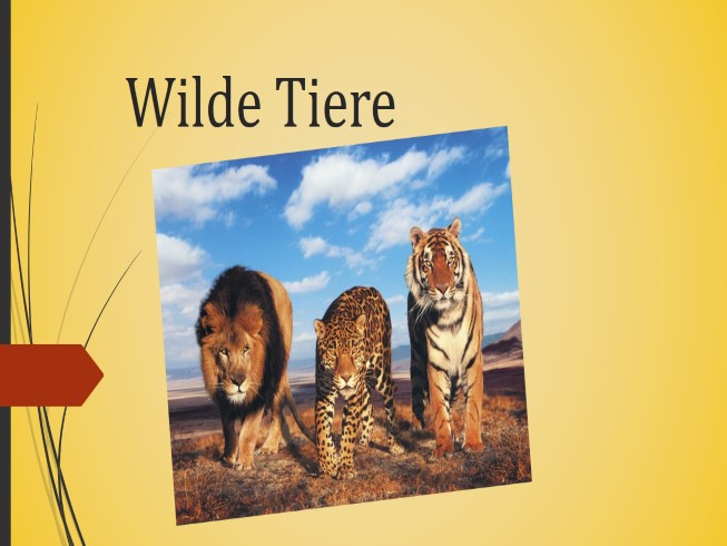 Wilde Tiere (иллюстрации)