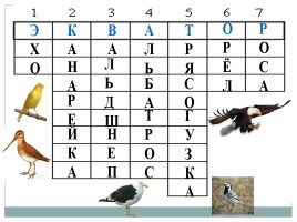 Тепло Земли - Тепловые пояса земли, слайд 7